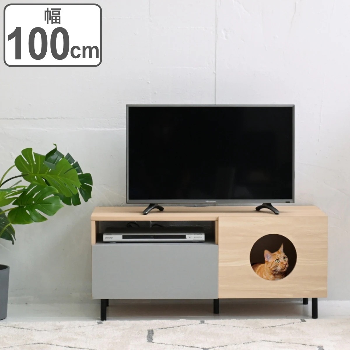 テレビ台 ローボード ペットスペース付 幅100cm TVボード TV台 テレビラック 収納 家具 棚 ペット家具 リビング TV 幅100 AVボード シェルフ ラック タップ収納