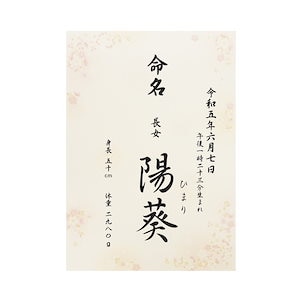 名入れ 命名書 命名紙 さくら お名前＋生年月日＋出生時刻＋身長体重 A4 ラミネート (メール便) 出産祝い お七夜 お七夜 男の子 女の子 記念 オーダー