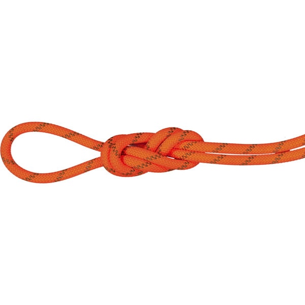 MAMMUT マムート 8.0 Alpine Dry Rope 201004350C-11238 ロープ