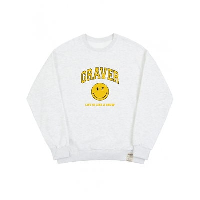 国宝 美術メダル・コレクション 上古飛鳥奈良 純銀メダル全24枚セット