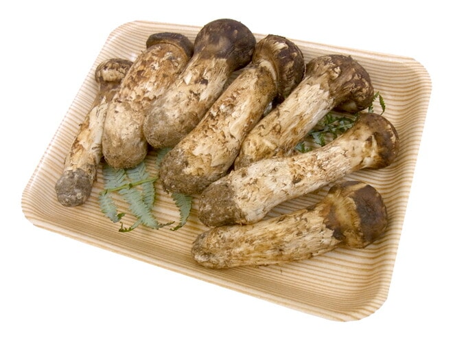 =中国吉林省産 松茸= 4-8本前後 約400g つぼみ-中椀 予約 8月中下旬-9月末頃 9,600円