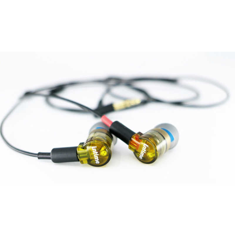 intime 轟 (GO) MarkII Type-P 有線 イヤホン