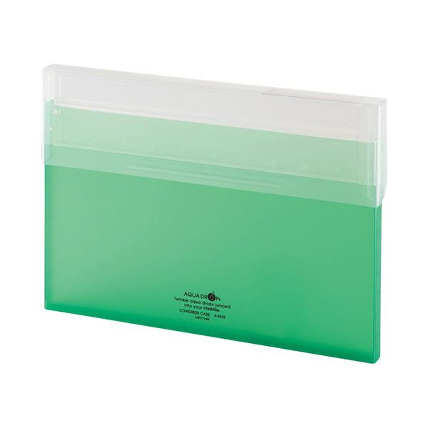 リヒトラブ AQUA DROPsコングレスケース A4 150枚収容 黄緑 A-5035-6 1セット(10個)