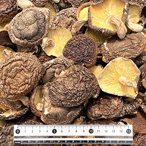 【業務用】杉本商店 九州産椎茸薄葉中葉300ｇ