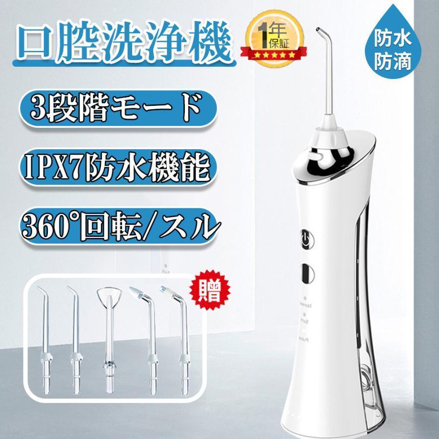 ジェットウォッシャー 口腔洗浄器 電動 口内洗浄機 USB充電式 歯ブラシ IPX7防水 水流洗浄 強弱切り替え 風呂 おすすめ