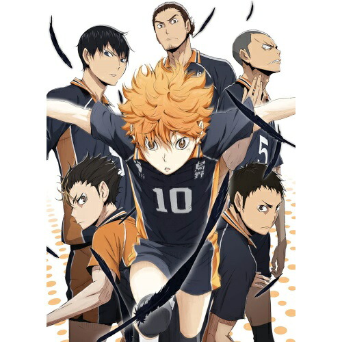 ハイキュー!! vol.5 ／ ハイキュー!! (DVD) TDV-24365D