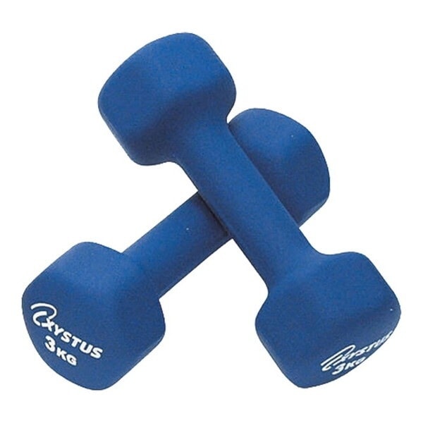 学校体育器具 ラバーコートダンベル3 H9065