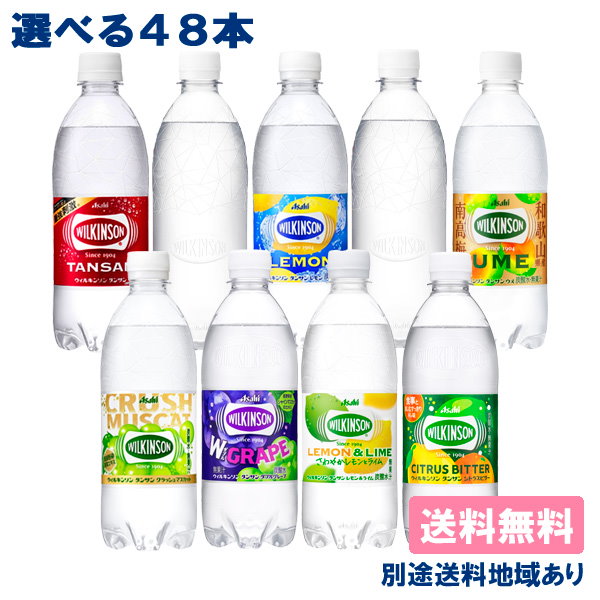 アサヒ飲料 ウィルキンソン 考えつき ジンジャエール 500ml 24本×2ケース 48本 送料無料