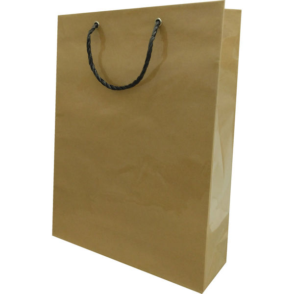 （まとめ買い）マツシロ 無地ビニールカバーバッグ 手提げ袋 10枚入 クラフト 縦44x横33cm 62MBC2 [x3] 6,113円