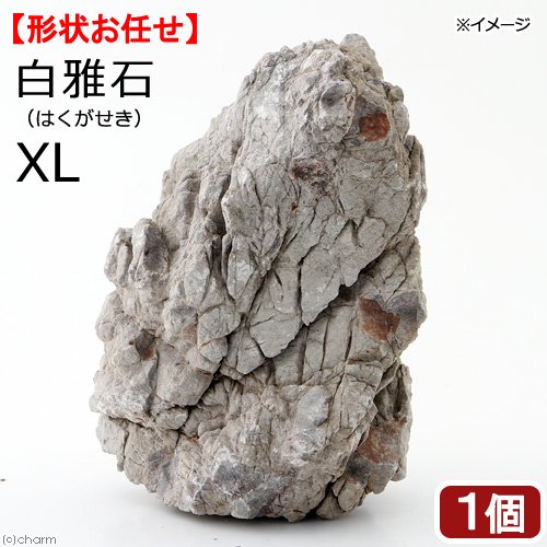 形状お任せ　白雅石　ＸＬサイズ（約２５ｃｍー）　１個　アクアリウム　レイアウト素材　ＣＲＣ21―20―89―00―00