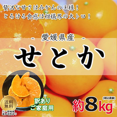 予約 愛媛県産 せとか 約8kg 玉数 サイズおまかせ 訳...のサムネイル
