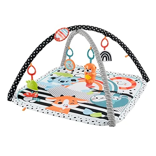 フィッシャープライス(fisher price) 感覚を育てよう! ラッコのわくわくミュージカルジム