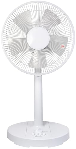 AW-LSP305DC [�z���C�g]