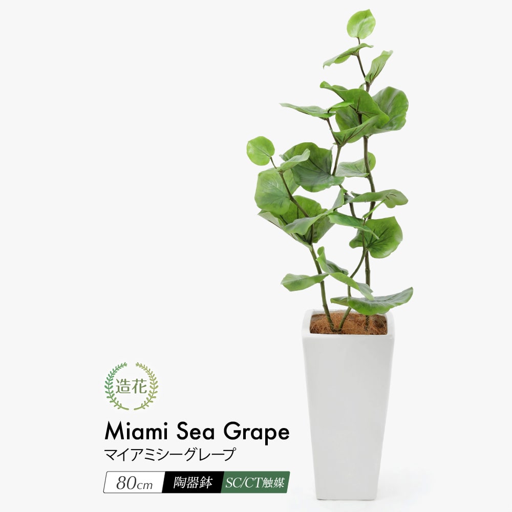 50%OFF フェイクグリーン マイアミ シーグレープ 80cm 鉢植 陶器鉢 CT触媒 造花 50%OFF フェイクグリーン マイアミ シーグレープ 80cm 鉢植 陶器鉢 CT触媒 造花