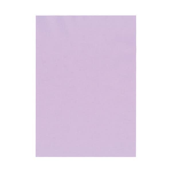 北越コーポレーション 紀州の色上質A3Y目 薄口 りんどう 1冊（500枚）