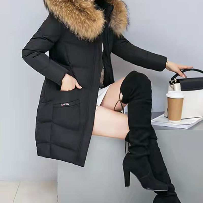 ダウンジャケット レディース 無地 ミドル丈 大きいサイズ 中綿ジャケット 軽量 ボタントップス ブルゾンジャケット 冬物 ダウンコート 普段使い 防寒着 合わせやすい オフホワイト 通勤通学 XXL