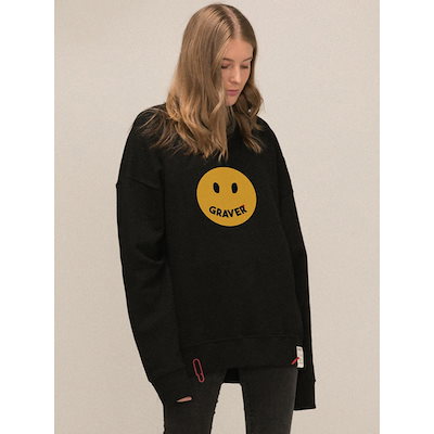 LES PEINTURES DU LOUVRE by L. Gowing