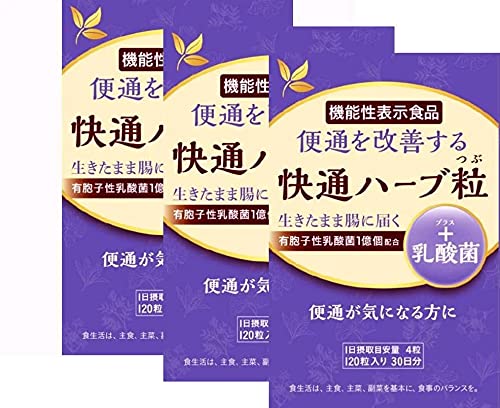 ナチュラルウェーブ 快通ハーブ粒 ＋ 乳酸菌 120粒 × 3