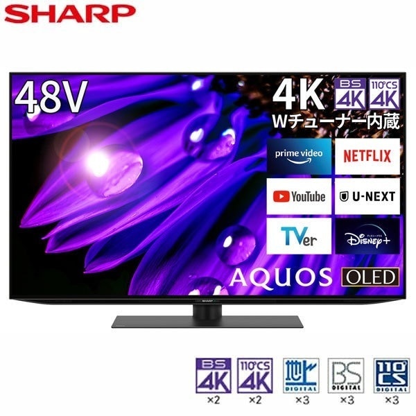 液晶テレビ 48型 地上BSCSデジタル4Kチューナー内蔵 48インチ 48V型 4T-C48EQ2 AQUOS EQ2 アクオス