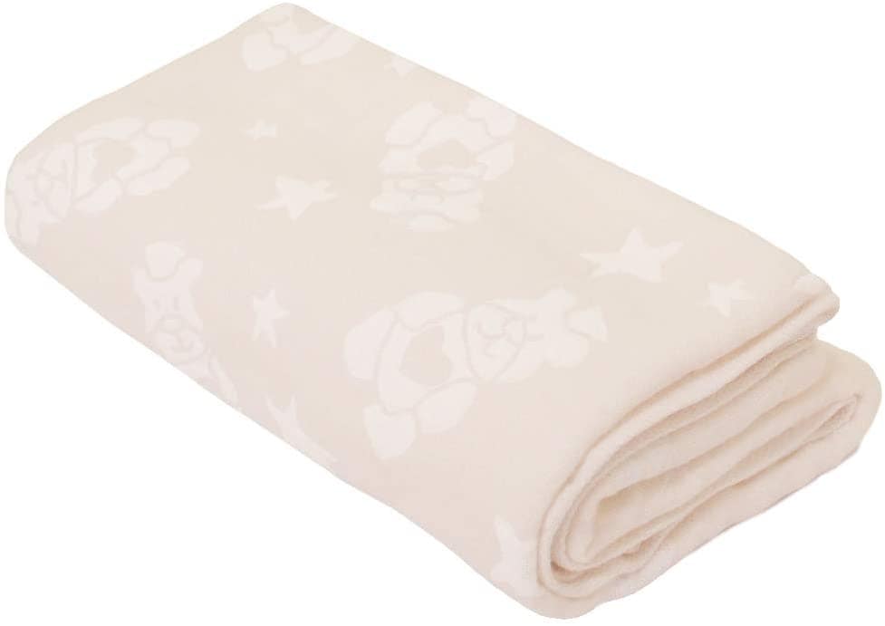 【本日限定価格】 速乾性 プランベア BEAR PLAN 女の子 男の子 ベビー 子供 ブランケット