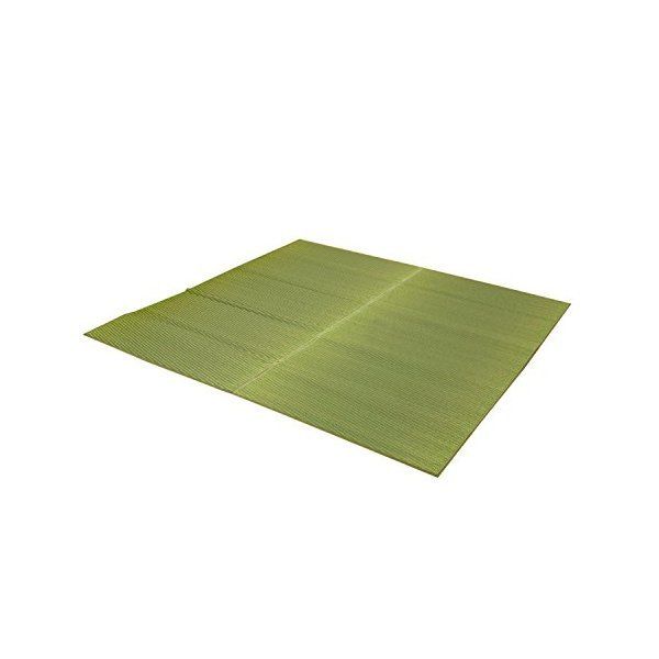 1050890123604 純国産 い草ラグカーペット 「Fソリッド」 約191×191cm GN メーカー直送 9,562円