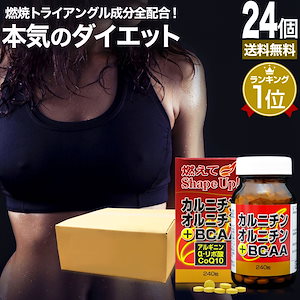 カルニチン・オルニチン＋BCAA 240粒*24個 約720-960日分 カルニチン lカルニチン エルカルニチン リポ酸 bcaa コエンザイムq10 サプリメント サプリ