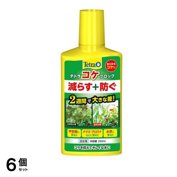 Tetra(テトラ) コケブロック 250mL 6個セット