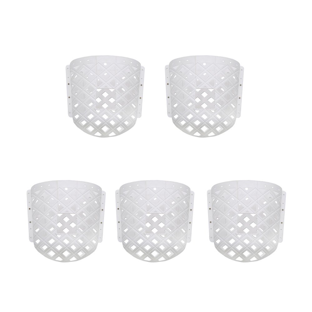 コウモリランポケット　ホワイト　ハンギング　コウモリラン　ビカクシダ　５個入り　ＣＲＣ90―62―20―00―00