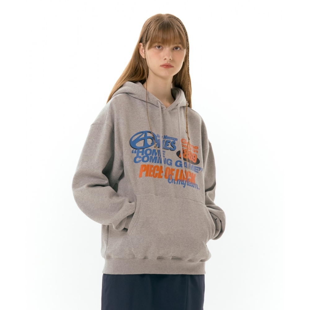 エイムズワールドワイド 1869 ポスターパーカーグレー