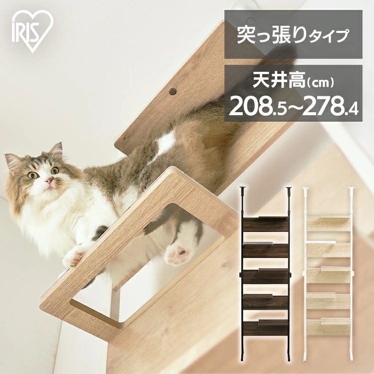 キャットタワー キャットウォーク キャットステップ アイリスオーヤマ 猫 ステップ付 クリアシェルフ 突っ張り 壁面 おしゃれ インテリア 省スペース 透明 CATS-68【AR対応】