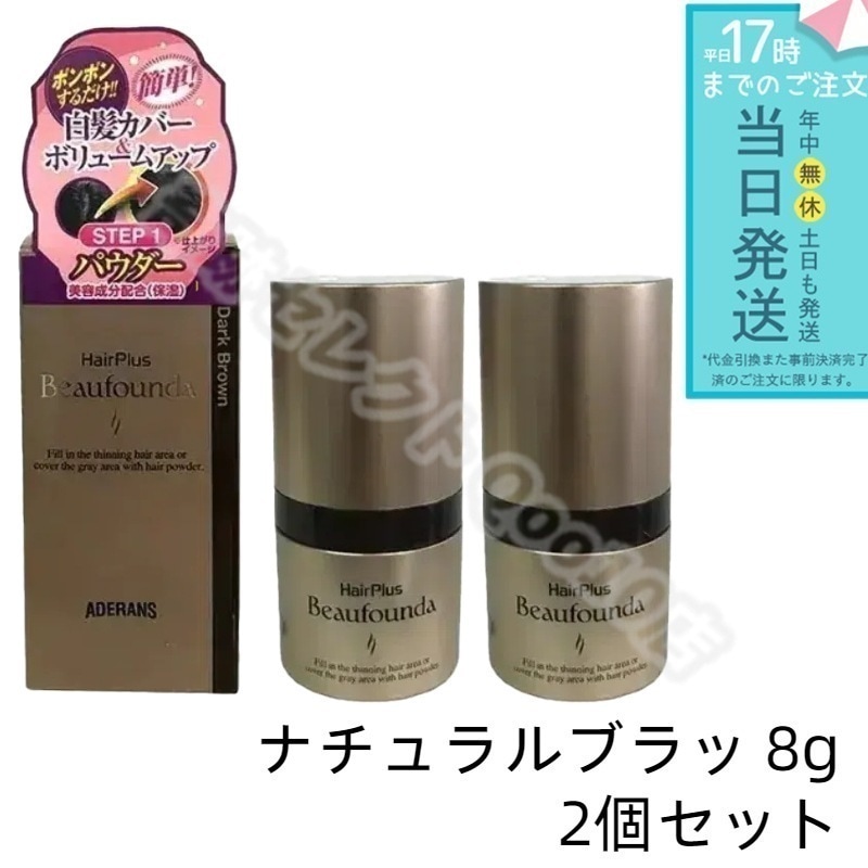 【2個セット】 ヘアプラス ビューファンデパウダー ナチュラルブラック 8g