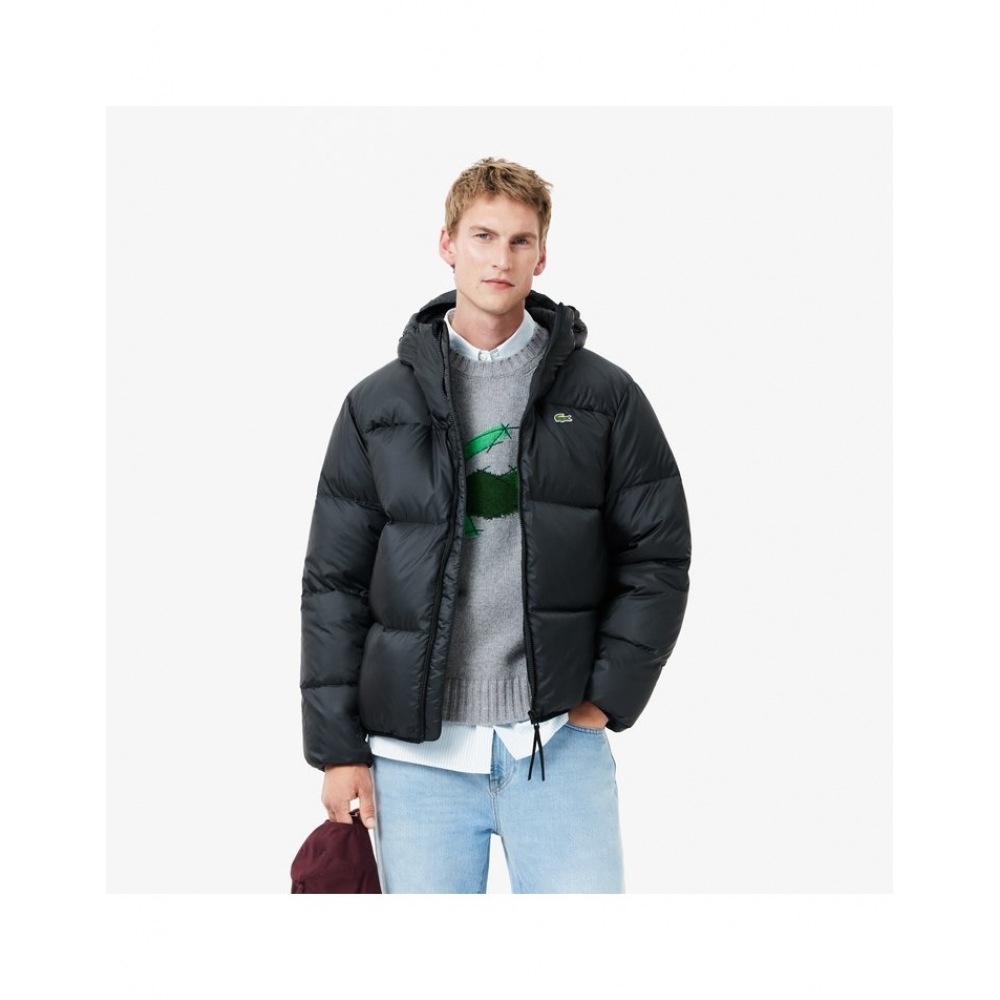 ラコステメンズフード付きダウンパファー BH7841-54N 031