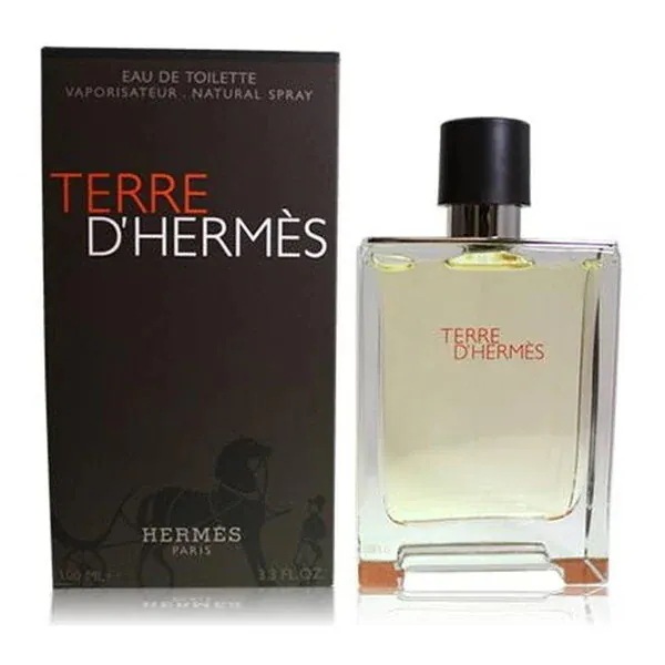 エルメス テールドゥエルメス オードトワレ EDT 100ml 並行輸入品