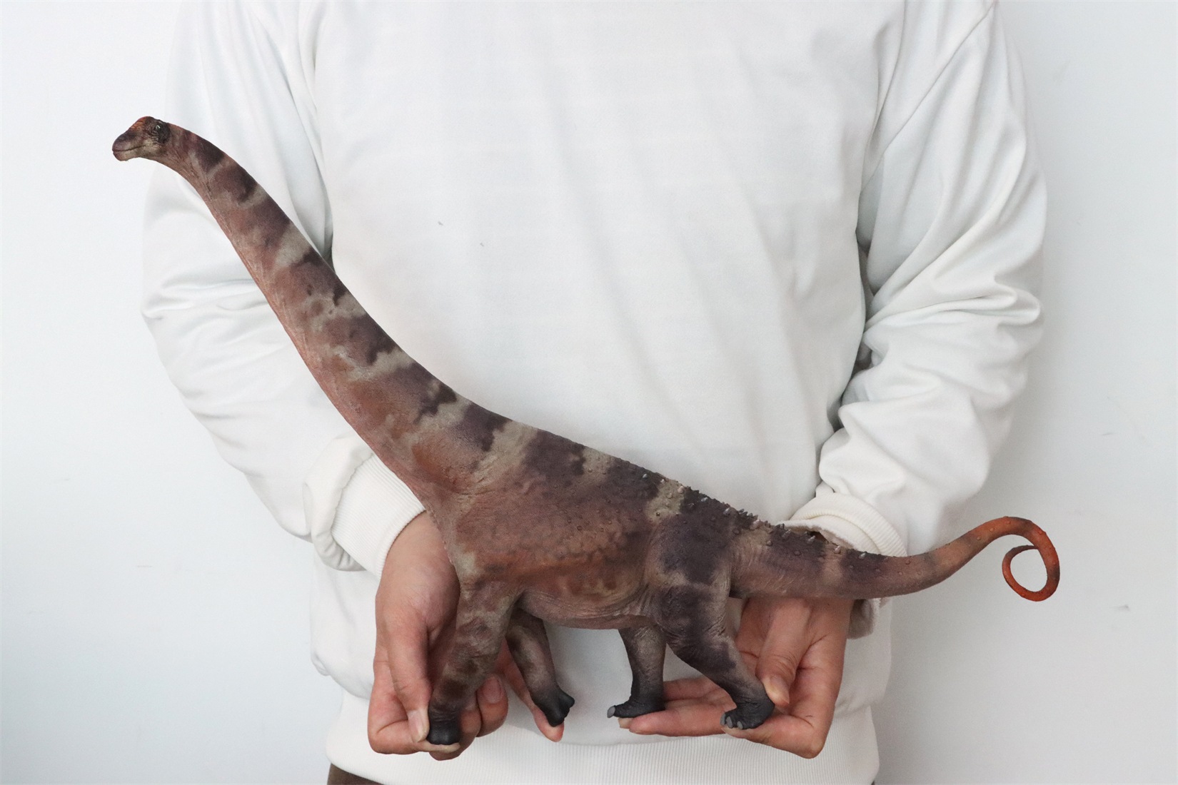 HAOLONGGOOD 1/35サイズ アラモサウルス アラモのトカゲ 竜脚類 サルタサウルス科 GRTOYS PVC 塗装済 白亜紀 草食系 恐竜 フィギュア リアル 模型 プラモデル おもちゃ 玩