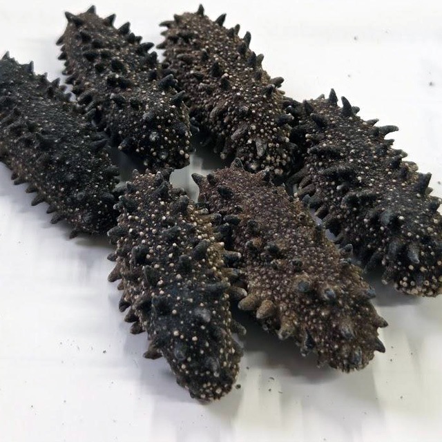 北海道産 天然乾燥ナマコ【特撰A級品】L-Mサイズ100g（約12-20個入）北海黒ダイヤ