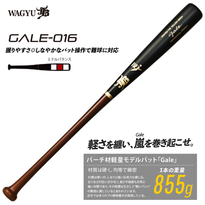和牛JB バーチ材硬式木製バット (Gale) ゲイル 野球 軽量 (中学硬式 高校 大学社会人 ) 22FW(GALE016)