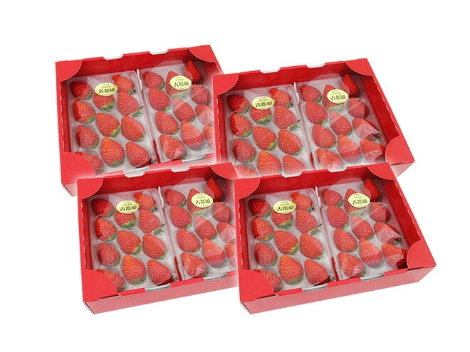 奈良県産 =古都姫いちご= 2pc x4箱（1pcあたり9-15粒前後 約250g） 予約 1月以降