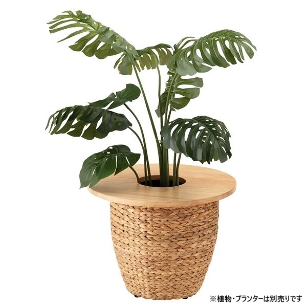 プランターテーブル ナチュラル 円形 約W50xD50xH1.8cm