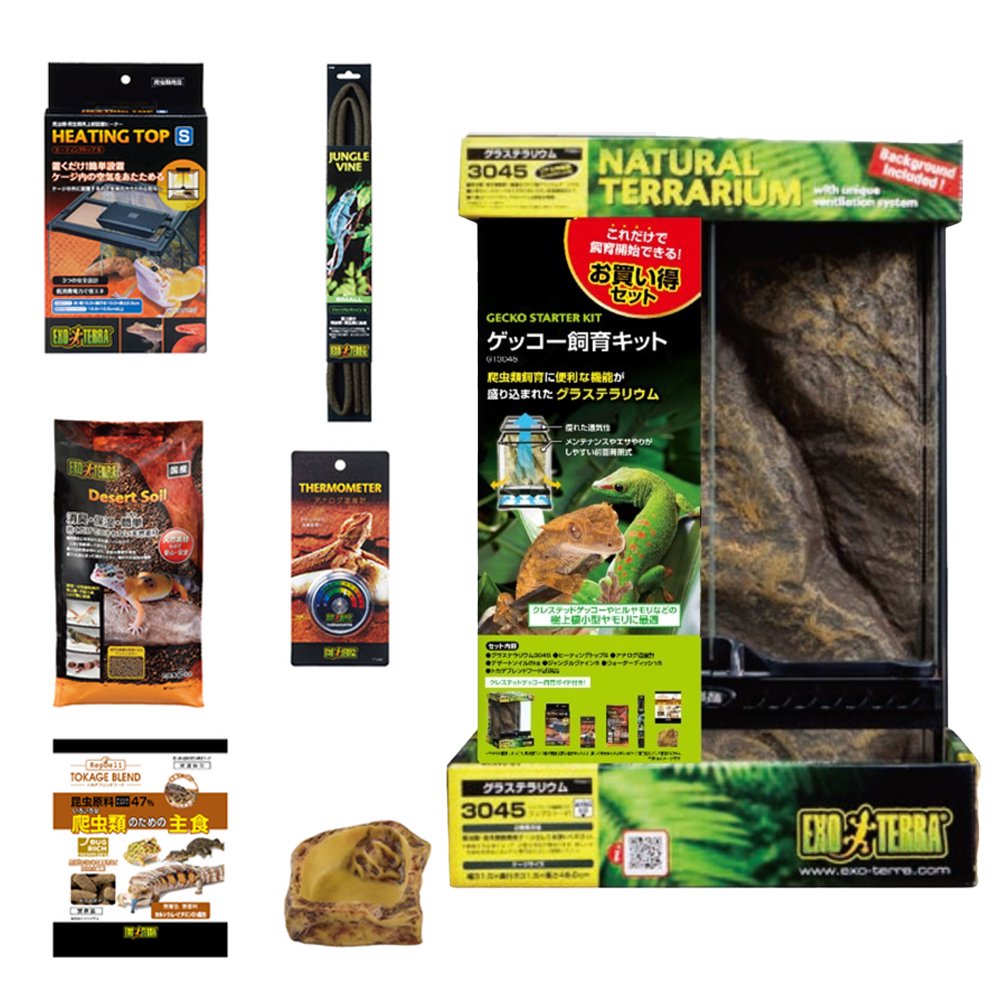 ＧＥＸ　エキゾテラ　グラステラリウム　ゲッコー飼育セット　ＧＴ３０４５　お一人様２点限り　ＣＲＣ17―10―10―00―00