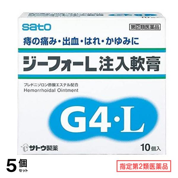指定第２類医薬品 ジーフォーL注入軟膏 10個 5個セット