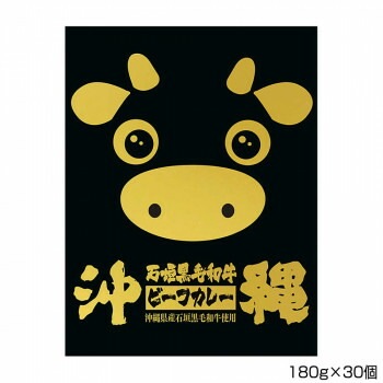 沖縄北谷自然海塩 沖縄石垣黒毛和牛ビーフカレー 180gx30個 B6