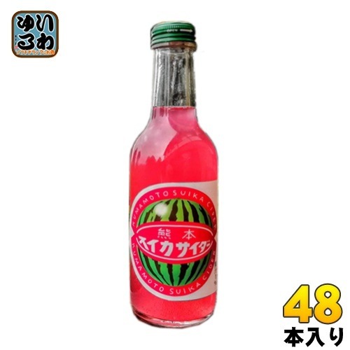 友桝飲料 熊本すいかサイダー 245ml 瓶 48本 (24本入×2 まとめ買い)