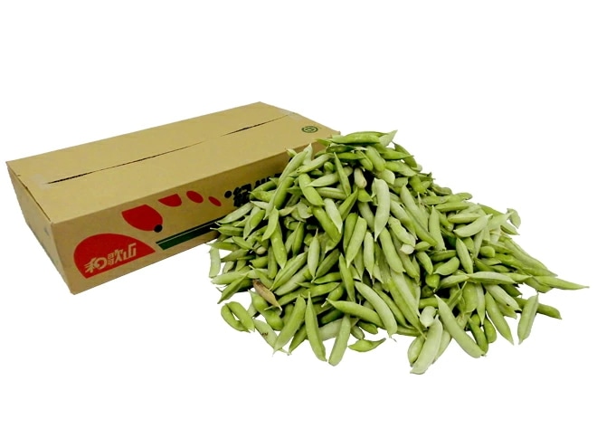 紀州/和歌山 =うすいえんどう= 約4kg 訳あり ご家庭用 予約 3月中下旬以降