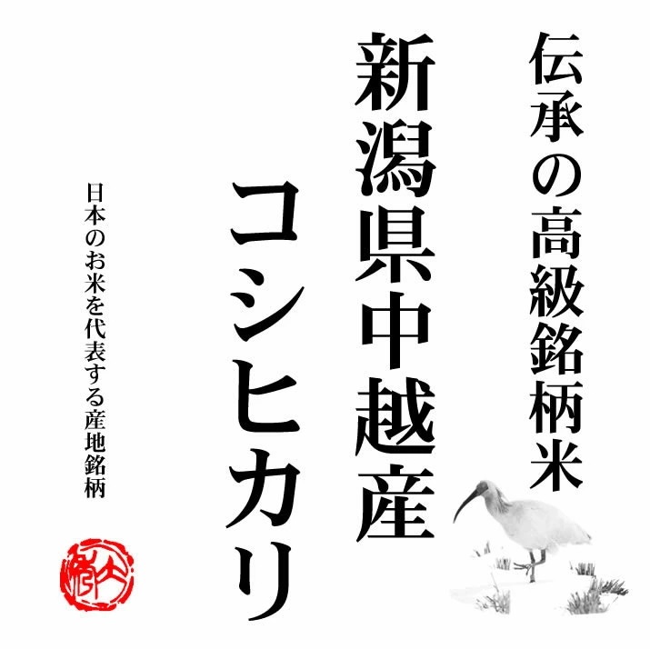 越後の米 令和7年産 新潟県中越産 コシヒカリ 10kgx2袋 (白米/玄米/無洗米加工/保存包装 選択可)