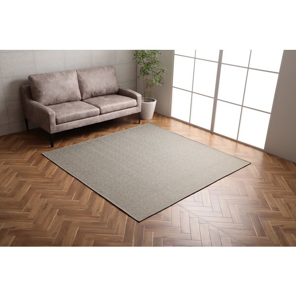 1293290027502 カーム 約4畳用 BE 200×290 メーカー直送