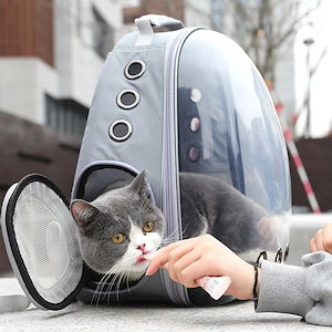 外出用のポータブルバックパック猫用の透明スペースペットコンパートメント犬と猫用ケージ用のバックパック