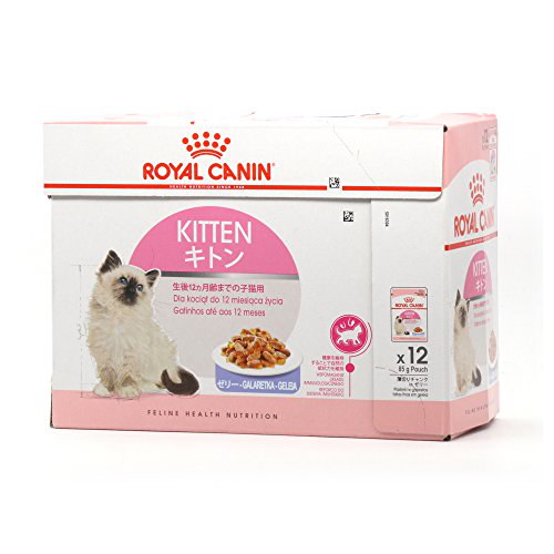 ROYAL CANIN キトン 2kg x2 ロイヤルカナン