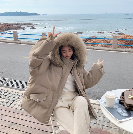 ダウンジャケット フード付き アウター 中綿ジャケット コート ショート丈 レディース 黒 ブラック 白 ホワイト 無地 コットン かわいい カジュアル あたたか 防寒 小さいサイズ 秋 冬