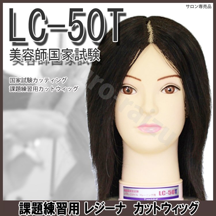 レジーナ 国家試験カッティング 課題練習用カットウィッグ LC-50T 美容師国家試験 プロ用美容室専門店 プレゼント 退職 ご挨拶 プチギフト お返し 贈り物 ギフト 誕生日 4,594円
