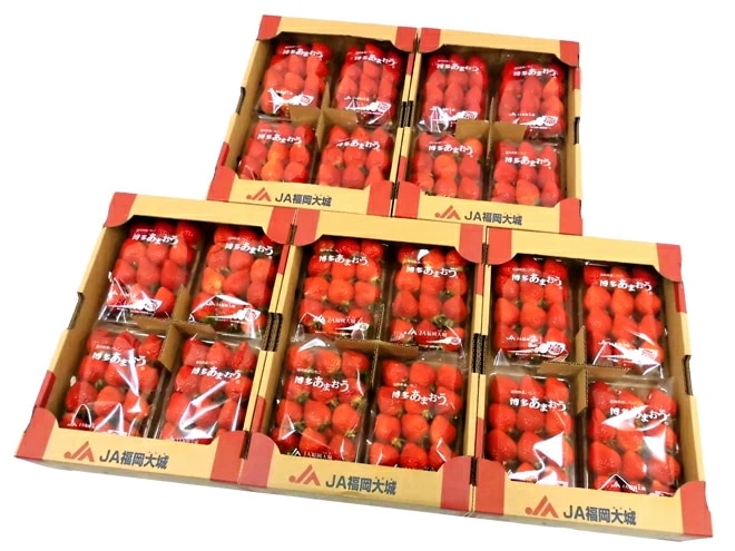 福岡産いちご =博多あまおう= 秀品 L/2Lサイズ 約270g x4パック x5箱 予約 1月以降